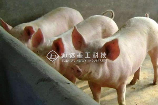  有機肥生產(chǎn)線技術(shù)方案，農(nóng)村有機肥廠的投資和利潤分析